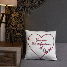Load image into Gallery viewer, The Definition of LOVE Pillow